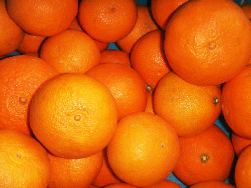 しまなみマドンナ 家庭用3kg｜大三島しまなみ農園