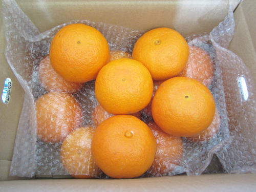 しまなみマドンナ 贈答用3kg｜大三島しまなみ農園